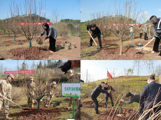 我为江姐植棵树 | 汇东城运公司参与自贡市2023年植树活动