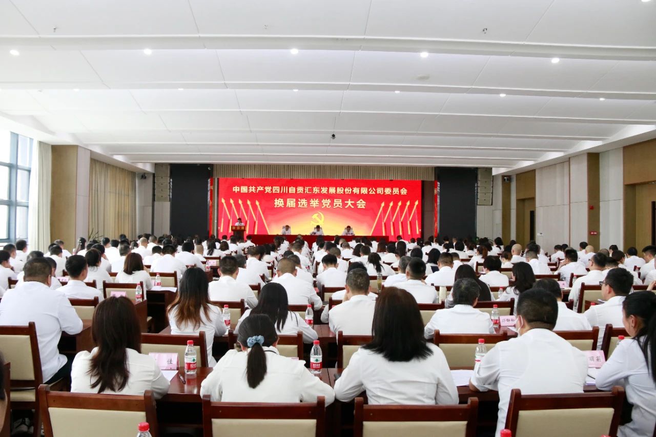 砥砺奋进启新程 凝心聚力谱新篇丨汇东股份公司党委换届选举党员大会顺利召开