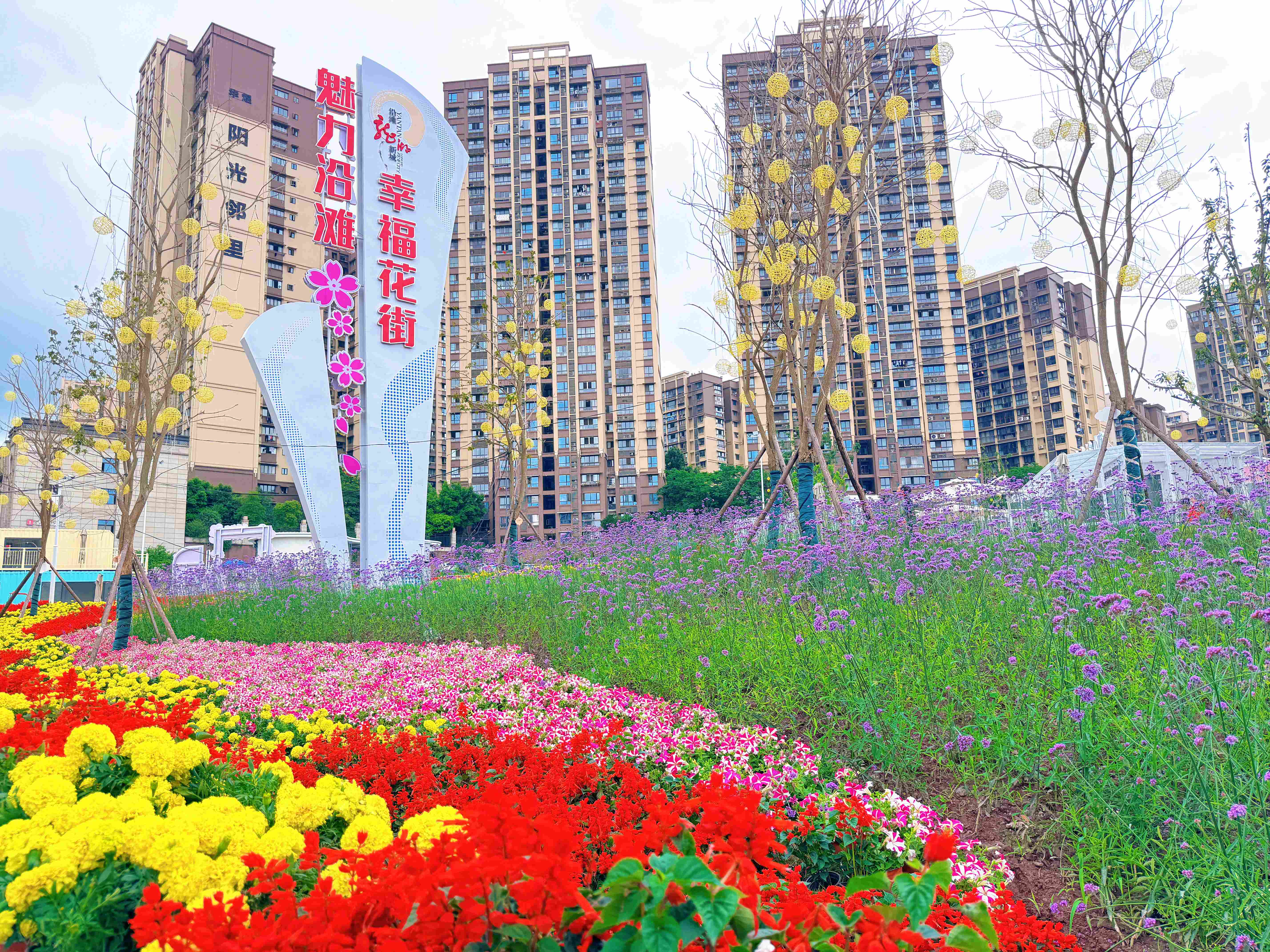 汇东城运 | 幸福花街全新启幕 绘就民生宜居新画卷